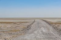 Zufahrt auf die aufgetrocknete Etosha-Pfanne.