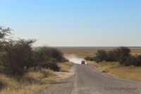 Ein Auto fährt über eine Schotter-Piste im Etosha-Nationalpark. Eine Staubwolke zieht sich hinter dem Auto.