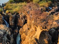 Epupa Falls, Wasserfall, Kunene, Grenzfluss, Namibia, Angola, Grenzregion, Grenzfluss, Safari, Roadtrip