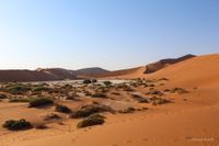 Sossusvlei, Namibia, Vegetation, Vlei, Roadtrip, Christop Goerdt