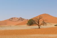 Sossusvlei, Namibia, D&uuml;ne, D&uuml;nen, Baum, W&uuml;ste, Christoph Goerdt